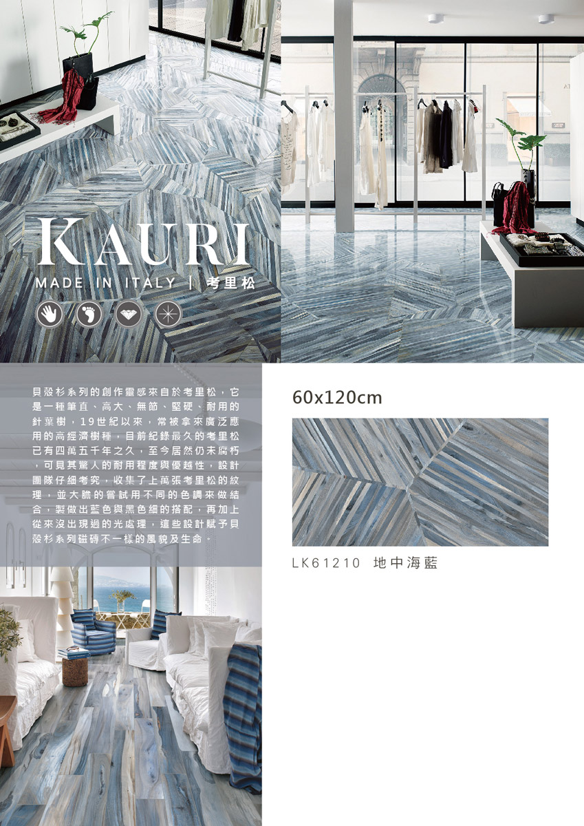 kauri-s-4.jpg