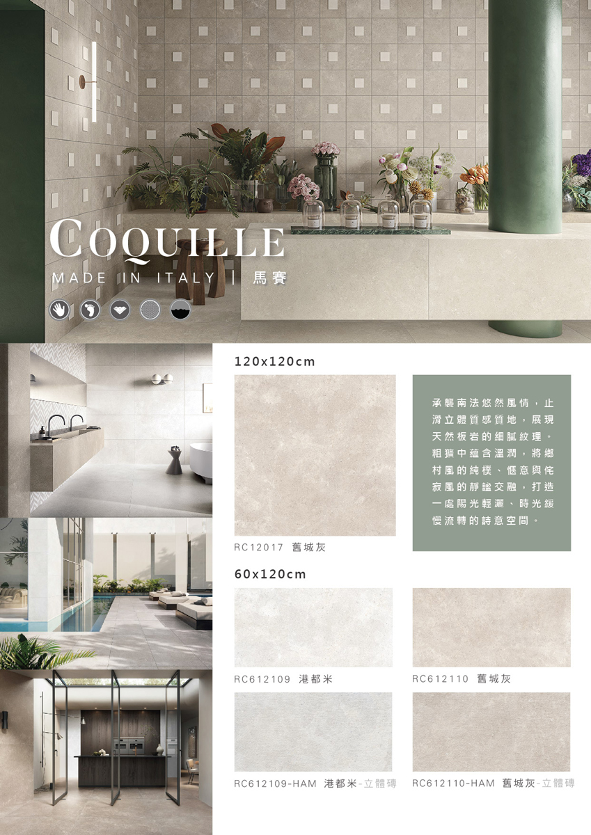COQUILLE-S2.jpg